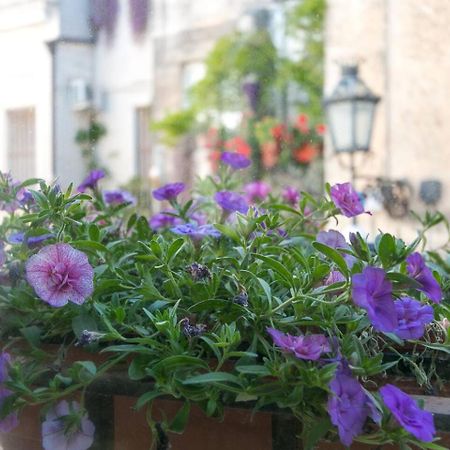 Caminanti Bed & Breakfast Lecce Exterior photo