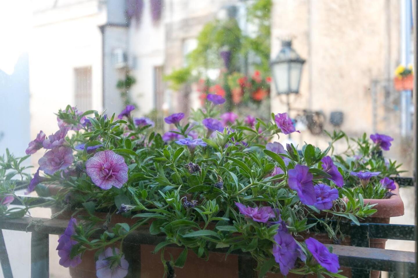 Caminanti Bed & Breakfast Lecce Exterior photo