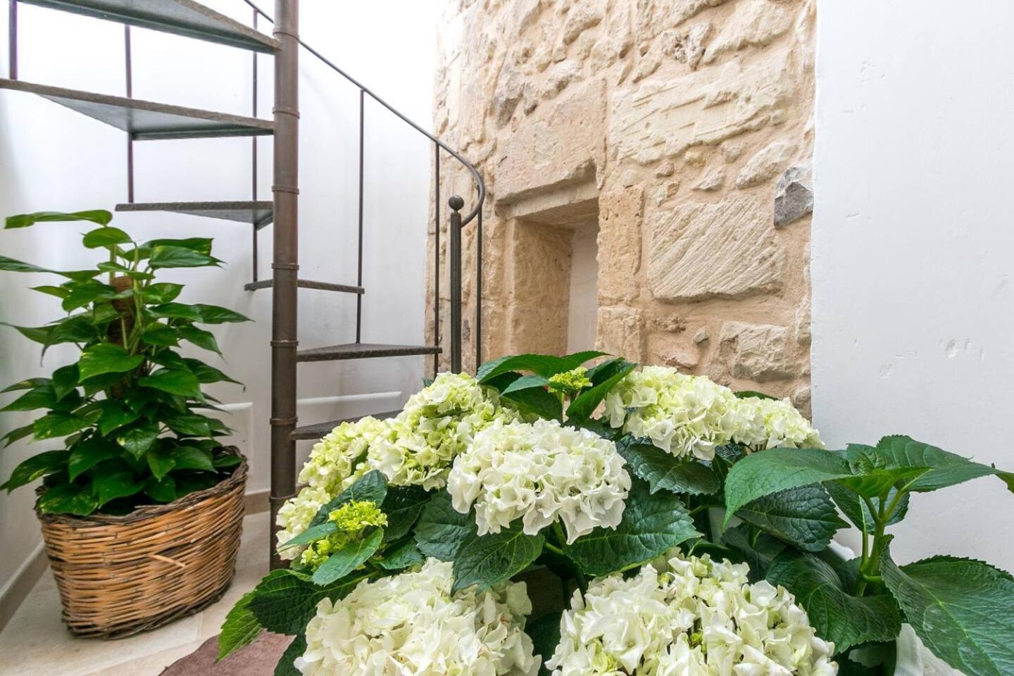 Caminanti Bed & Breakfast Lecce Exterior photo